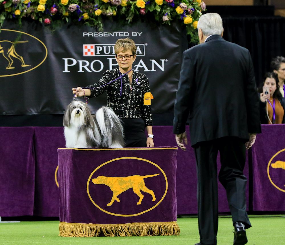 Missed Entries? Nothing New!